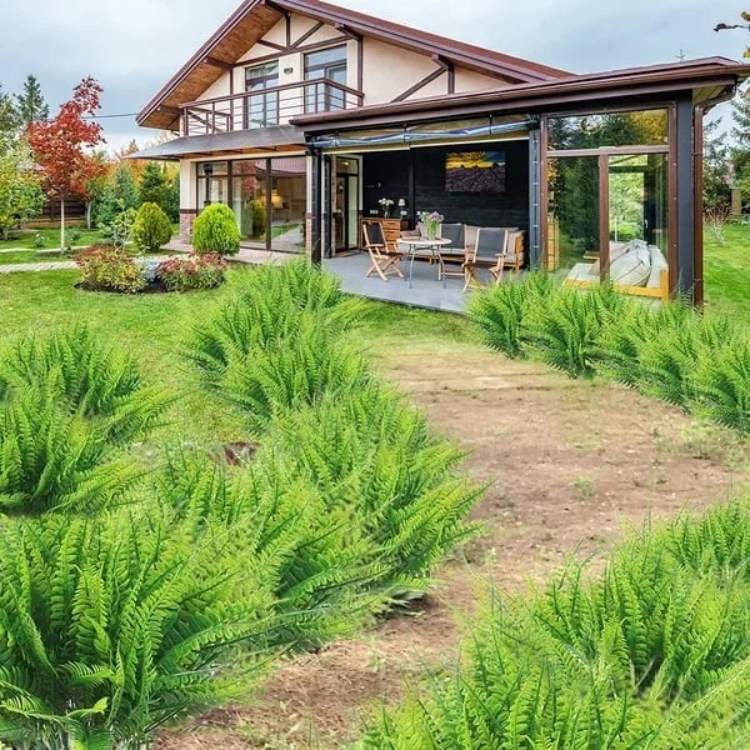 NatureLook Realistic Fern Plant - Artificial Fern Plant - Wild Eye Vision