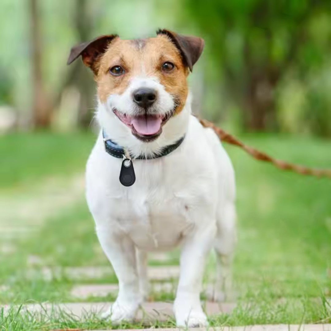 PawPin – Bluetooth Pet Location Tracker - Dog GPS Tracker - Wild Eye Vision