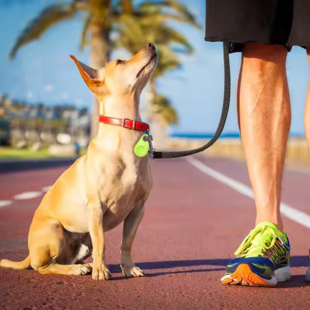 PawPin – Bluetooth Pet Location Tracker - Dog GPS Tracker - Wild Eye Vision