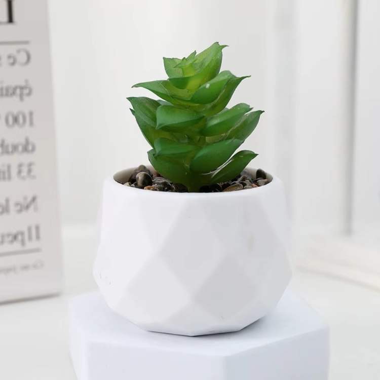 PureLeaf Mini Bonsai Decor - Artificial Plant - Wild Eye Vision