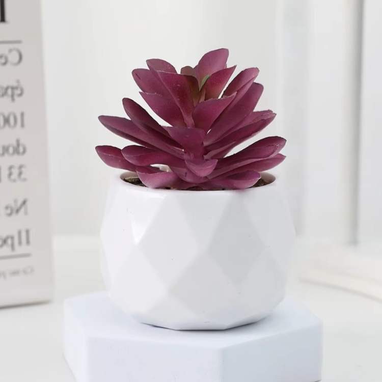 PureLeaf Mini Bonsai Decor - Artificial Plant - Wild Eye Vision