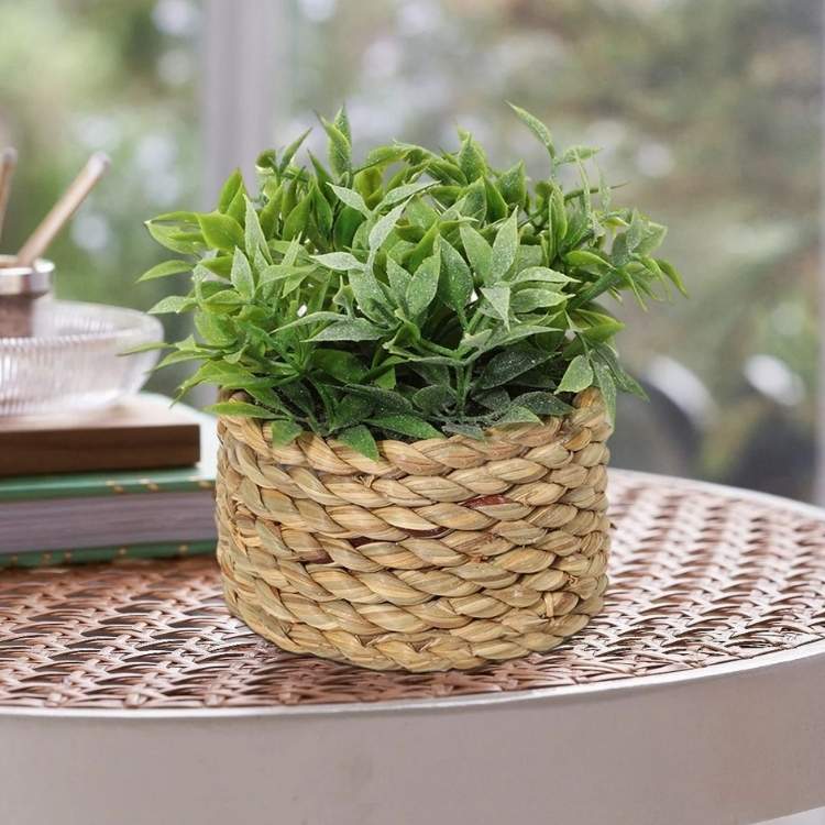 PureLeaf Mini Eucalyptus Plant - Artificial Plant - Wild Eye Vision