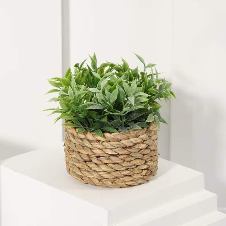 PureLeaf Mini Eucalyptus Plant - Artificial Plant - Wild Eye Vision