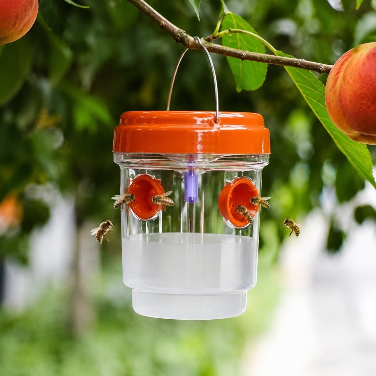 Reusable Hanging Wasp Trap - Fly Trap - Wild Eye Vision