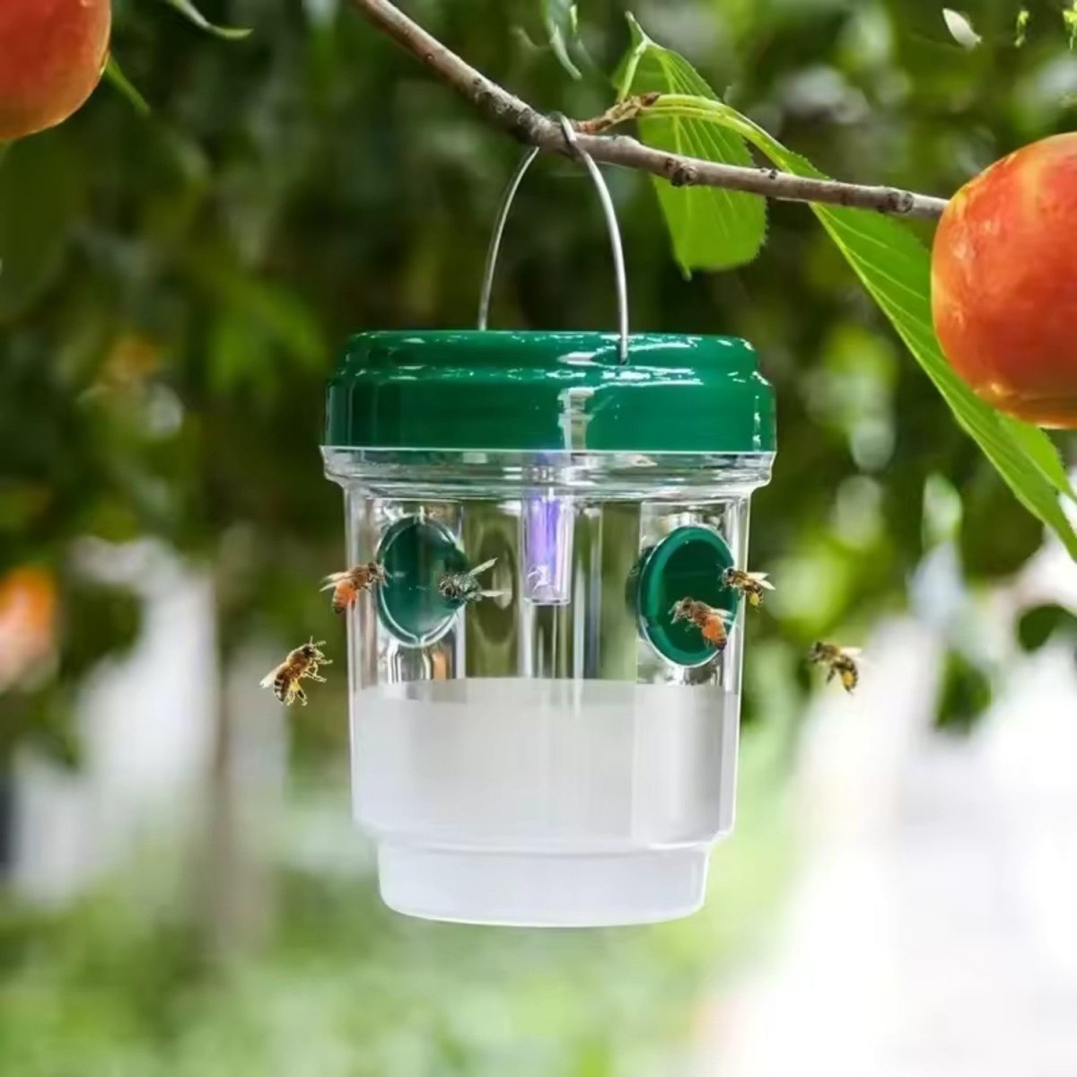 Reusable Hanging Wasp Trap - Fly Trap - Wild Eye Vision