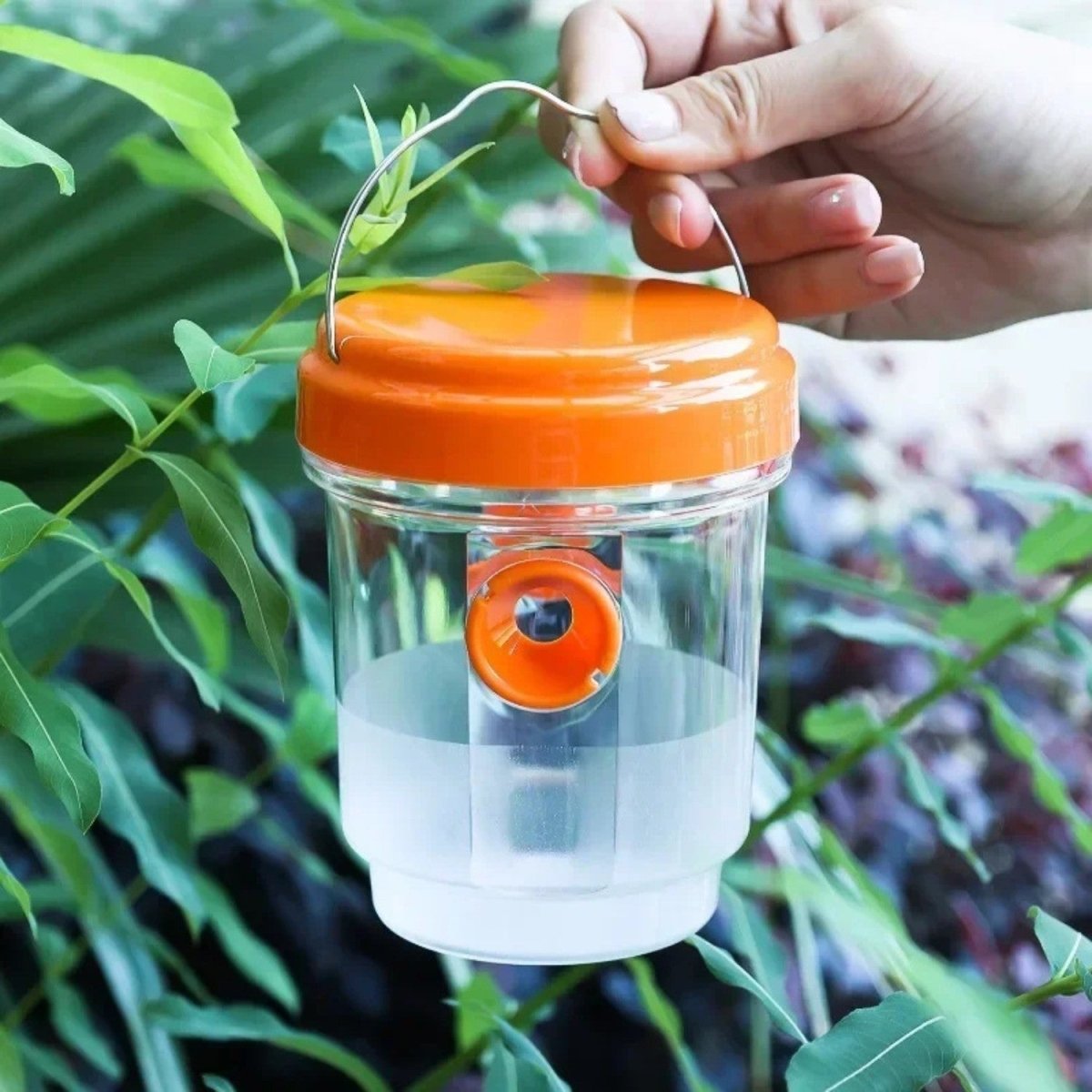 Reusable Hanging Wasp Trap - Fly Trap - Wild Eye Vision