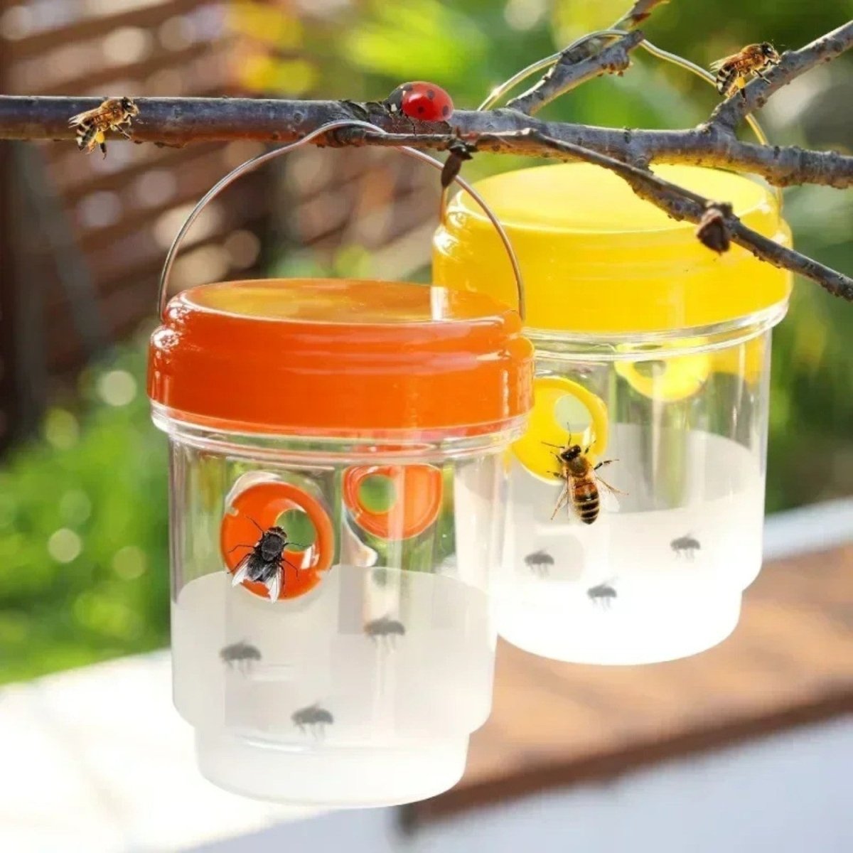 Reusable Hanging Wasp Trap - Fly Trap - Wild Eye Vision