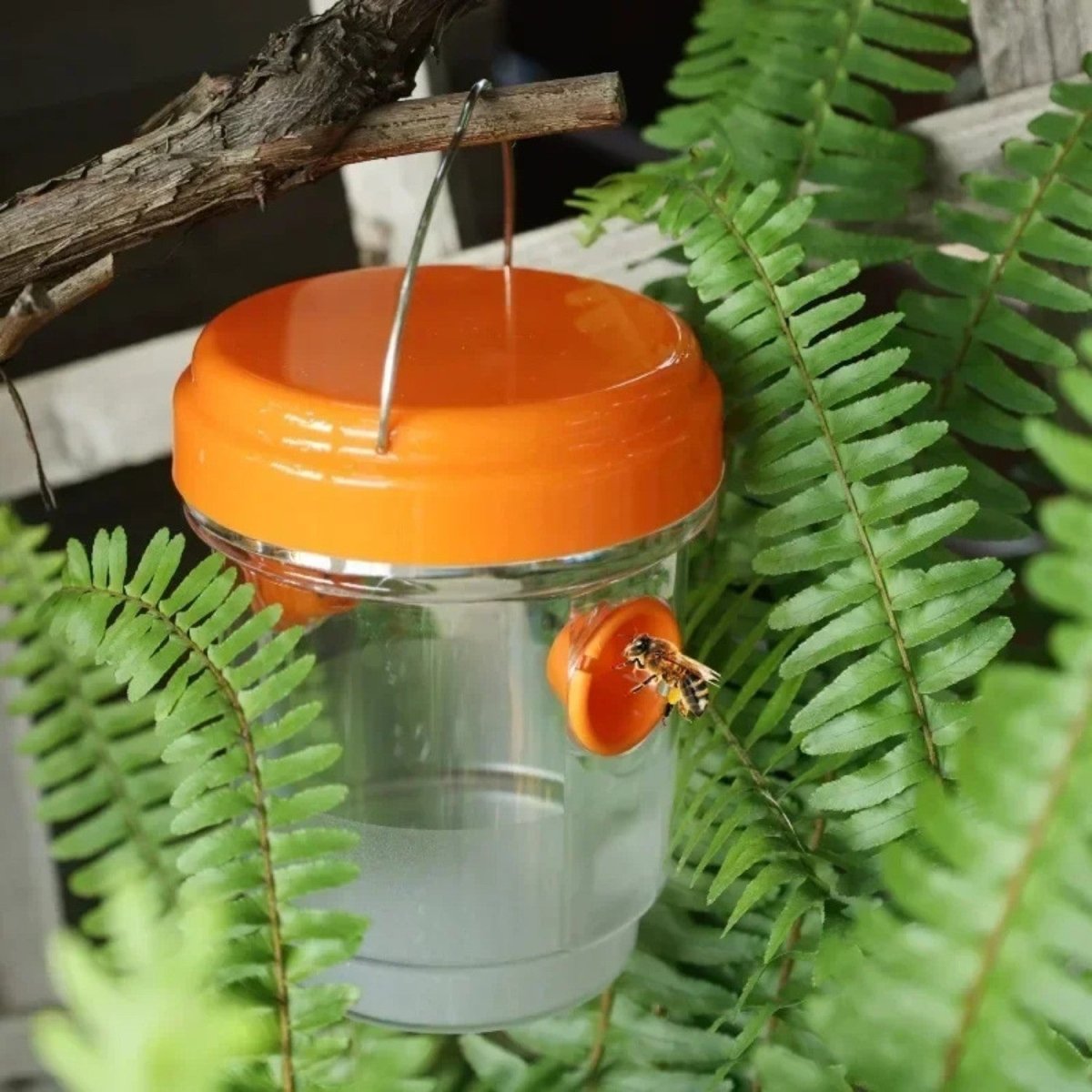 Reusable Hanging Wasp Trap - Fly Trap - Wild Eye Vision