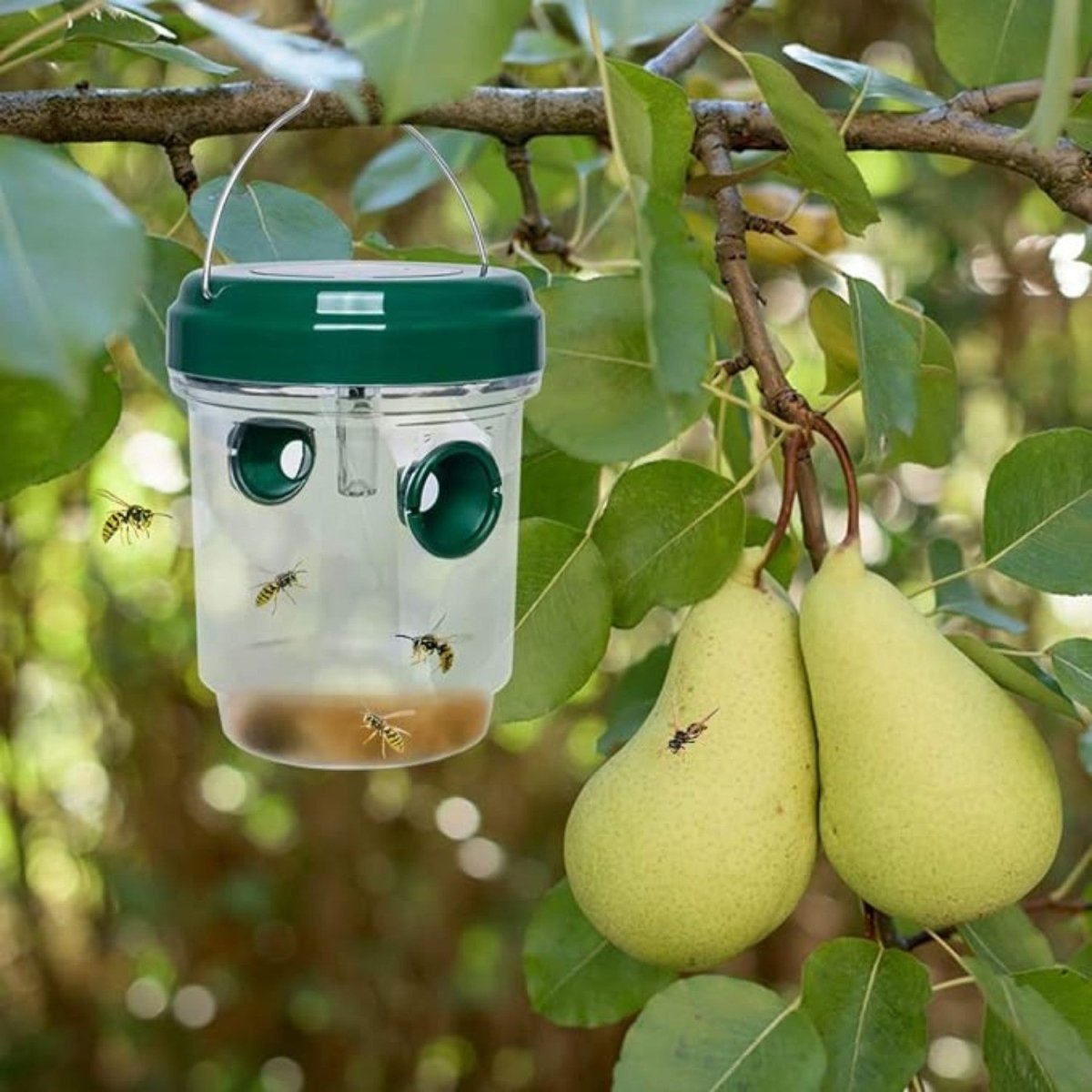 Reusable Hanging Wasp Trap - Fly Trap - Wild Eye Vision