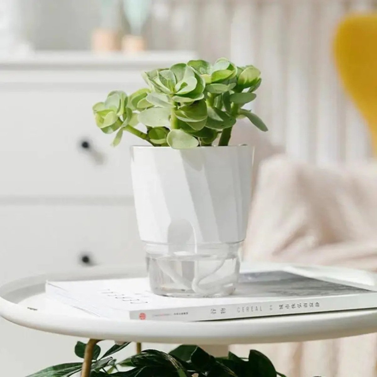 Self - Watering Flowerpot for Clean Indoor Gardening - Flowerpot - Wild Eye Vision