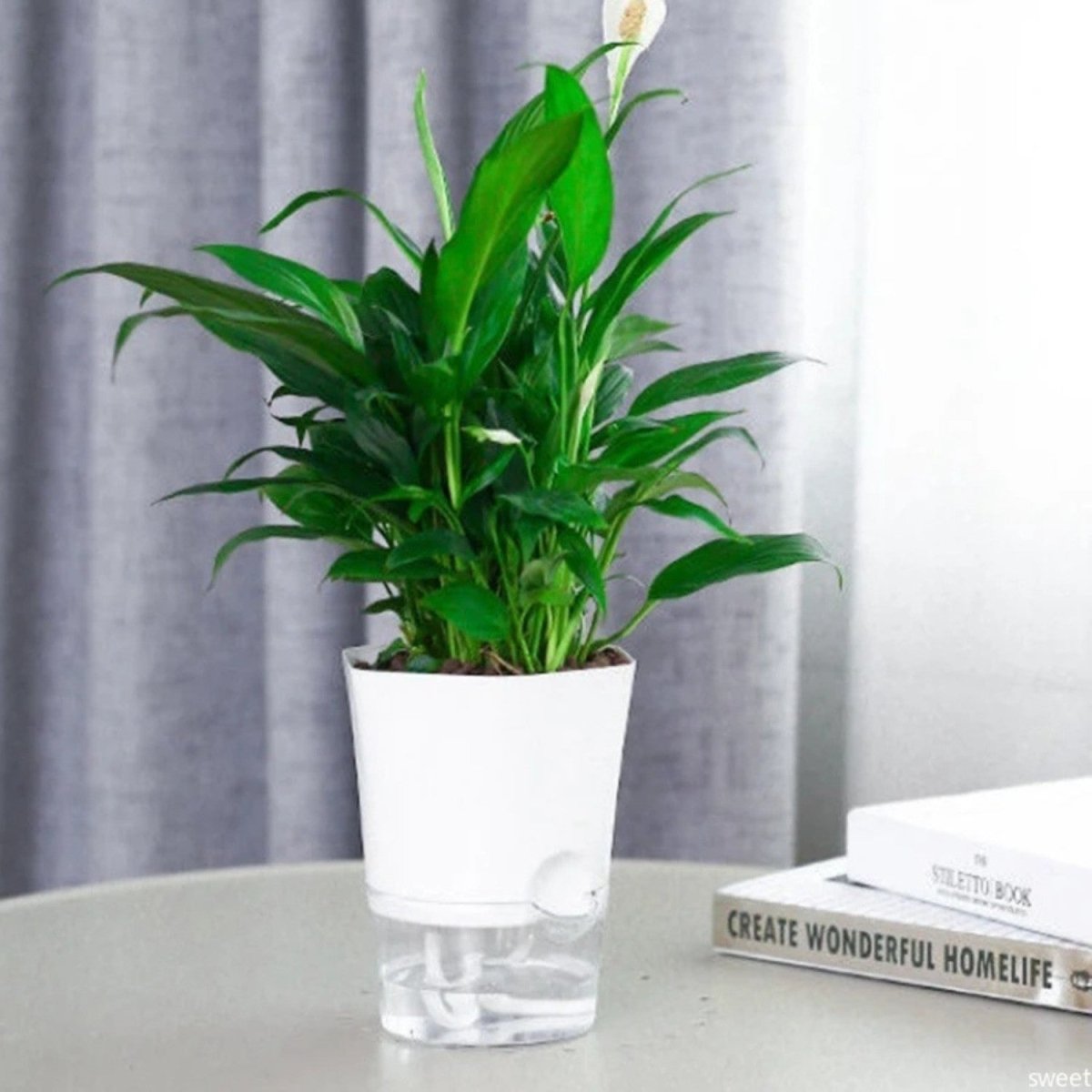 Self - Watering Flowerpot for Clean Indoor Gardening - Flowerpot - Wild Eye Vision