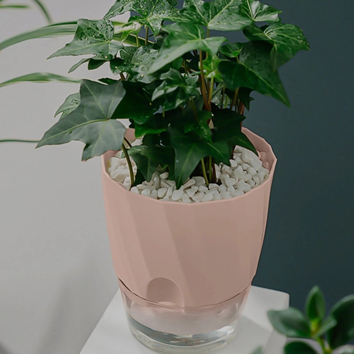 Self - Watering Flowerpot for Clean Indoor Gardening - Flowerpot - Wild Eye Vision