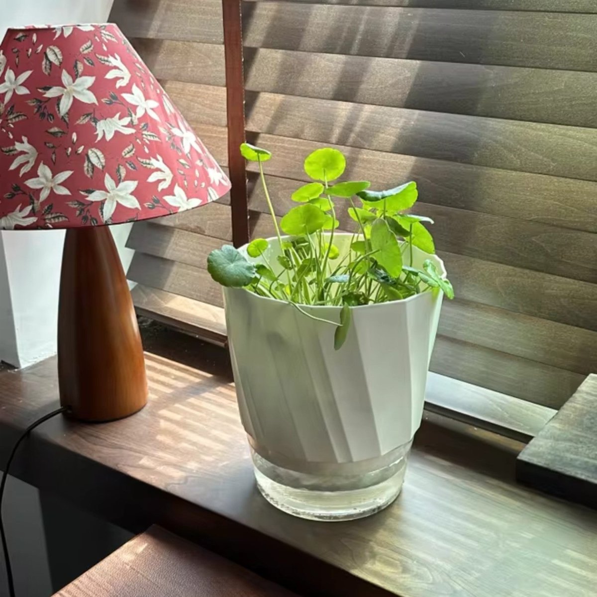 Self - Watering Flowerpot for Clean Indoor Gardening - Flowerpot - Wild Eye Vision