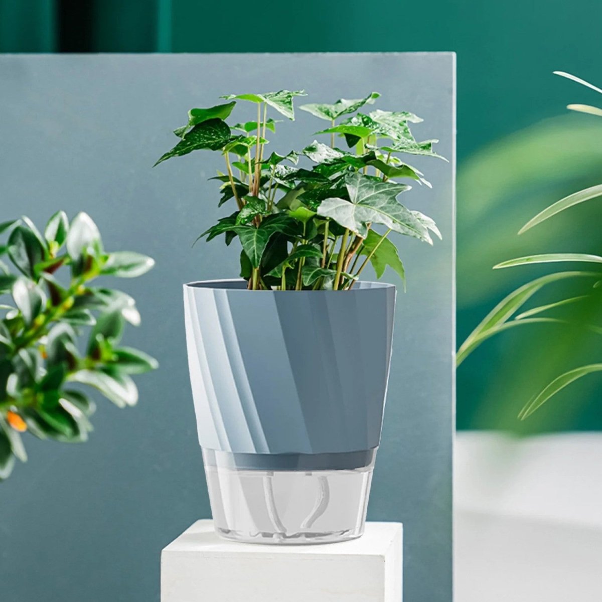 Self - Watering Flowerpot for Clean Indoor Gardening - Flowerpot - Wild Eye Vision