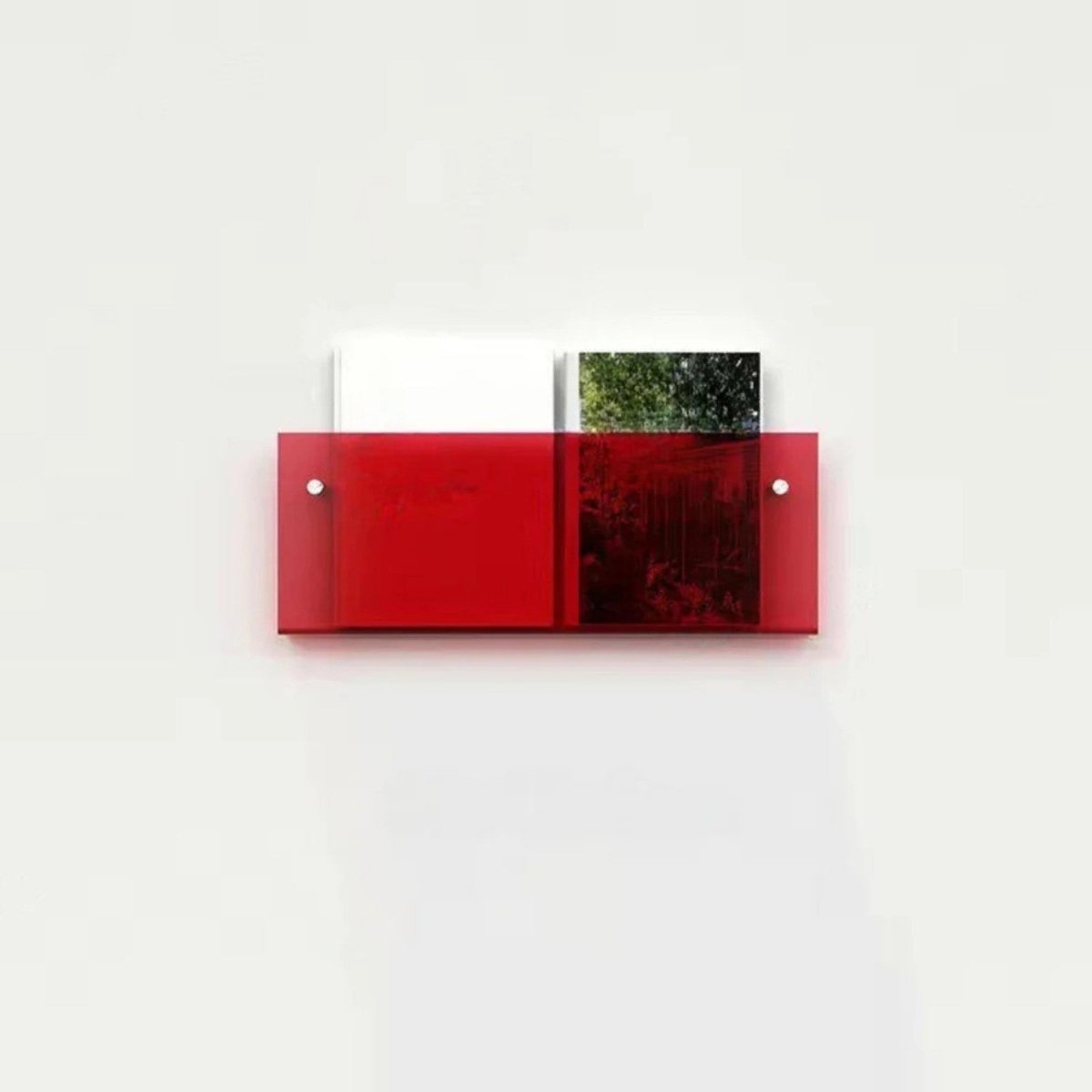 Sleek Clear Acrylic Magazine Wall Shelf - Wall Shelf - Wild Eye Vision