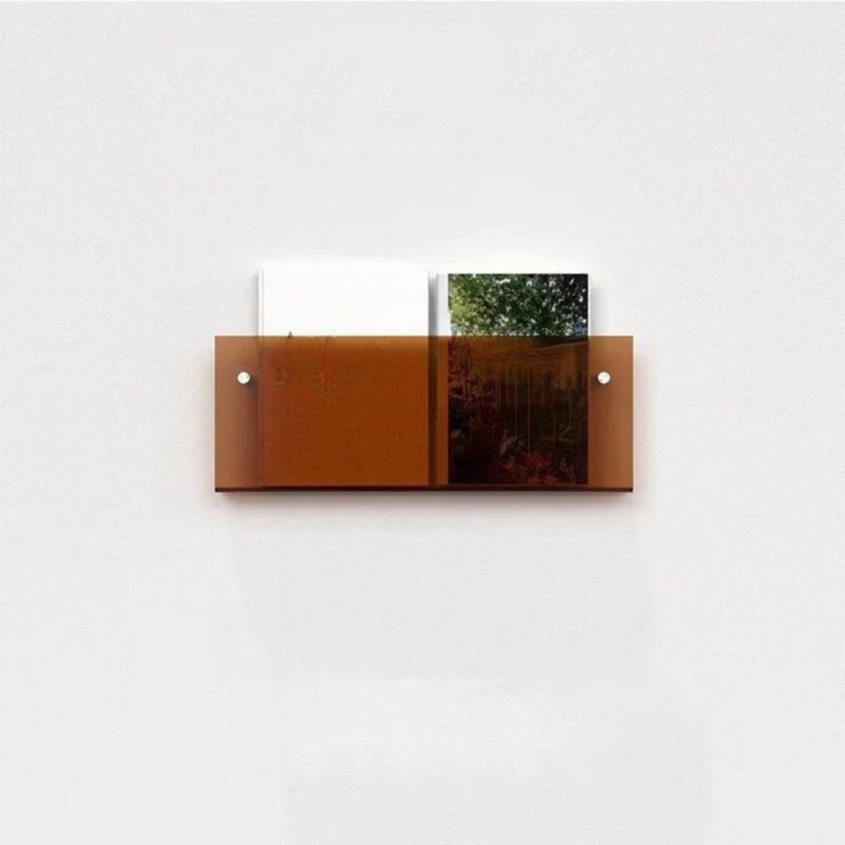 Sleek Clear Acrylic Magazine Wall Shelf - Wall Shelf - Wild Eye Vision