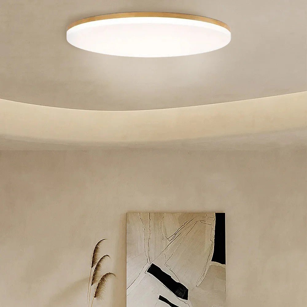 Soft Glow Natural LED Ceiling Lamp - Ceiling Light - Wild Eye Vision