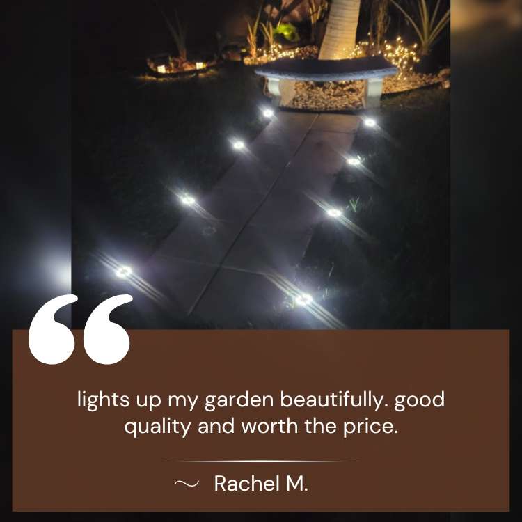 SunBeam Garden Lights - Garden Lights - Wild Eye Vision