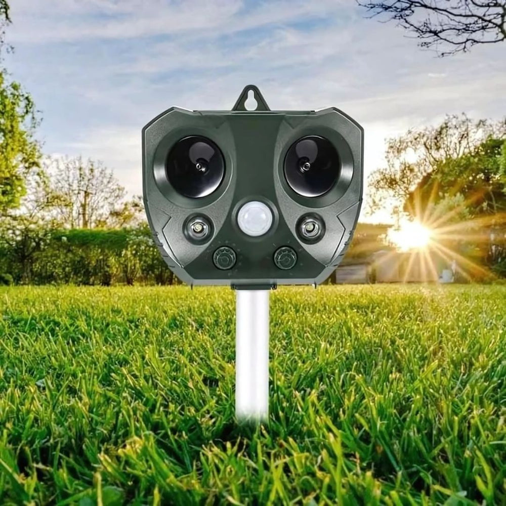 Capture Any Mouvements Remotely With Our Wildlife and Trail Cameras