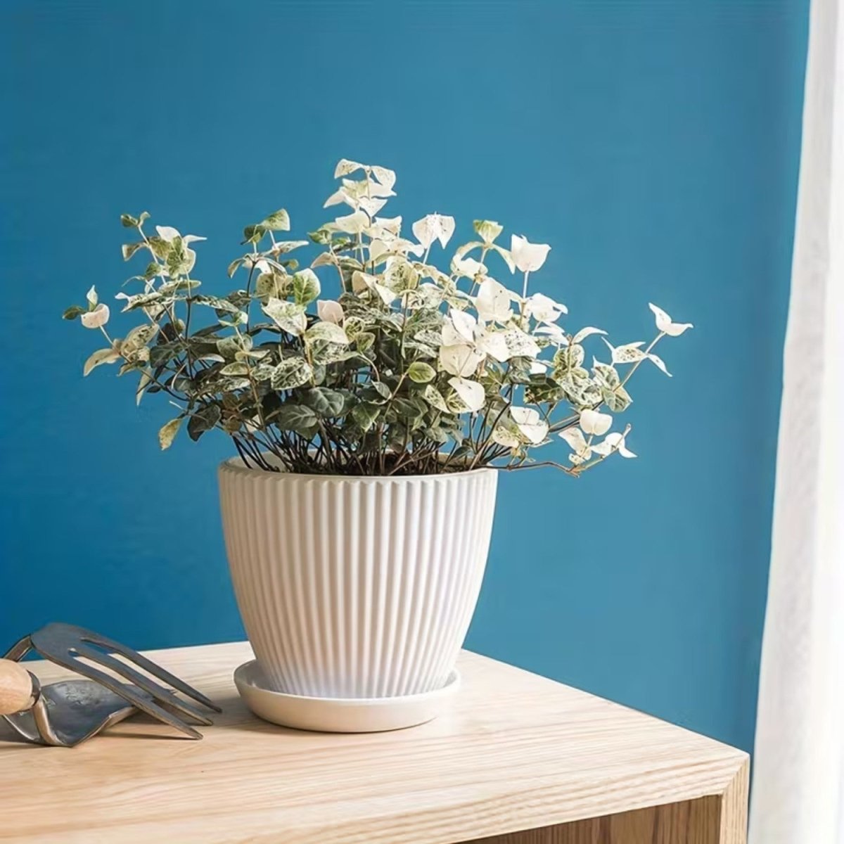 Vertical Striped Flower Pot with Saucer - Flowerpot - Wild Eye Vision
