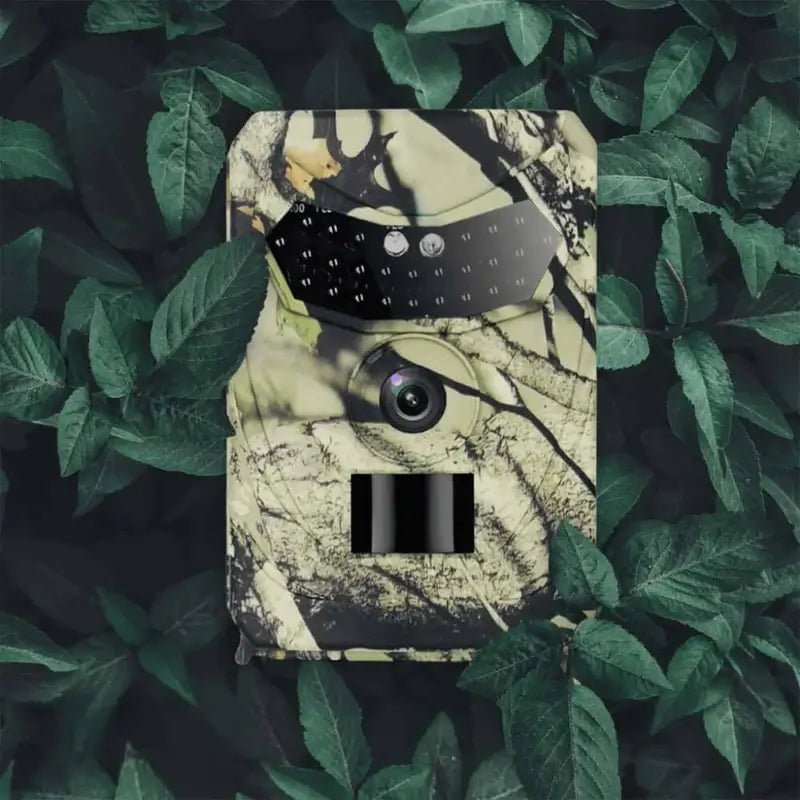 Wild Eye Scout - Wildlife & Trail Camera - Wild Eye Vision
