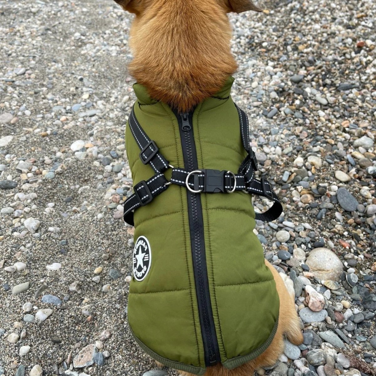 Wind & Water - Resistant Dog Jacket - Dog Jacket - Wild Eye Vision